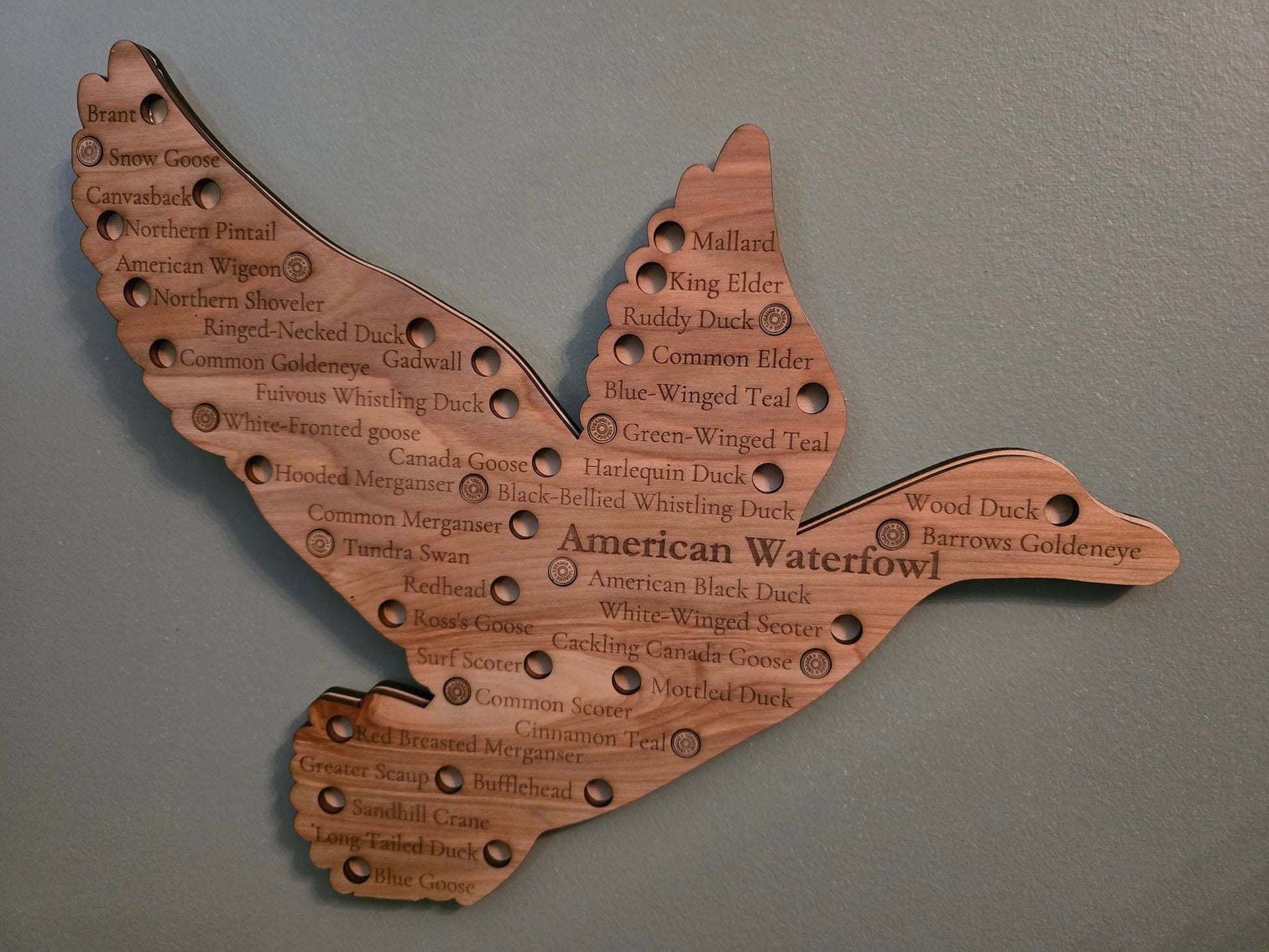 Duck Hunter Sign